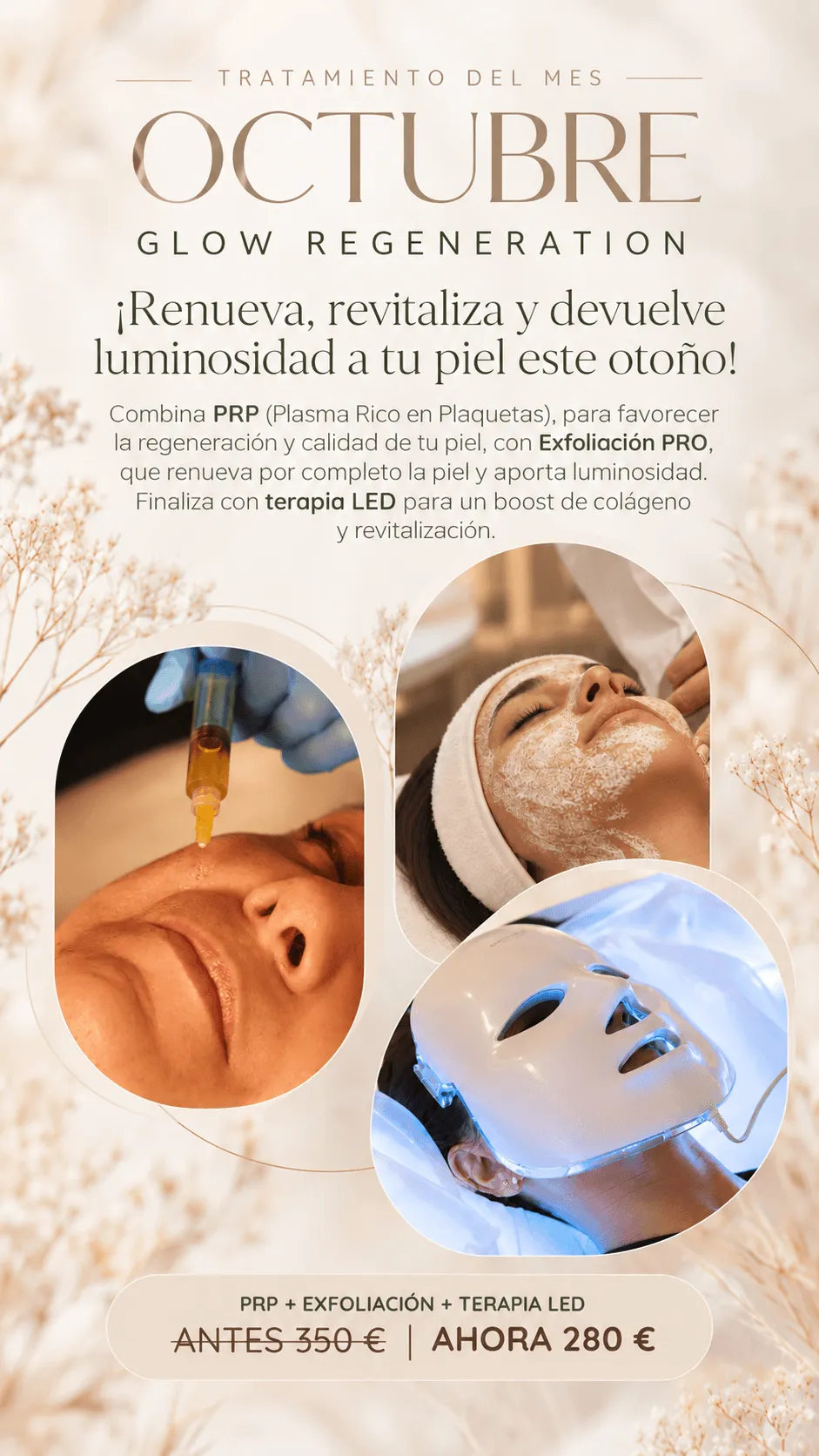 Tratamiento del mes Meclincs Ordenador